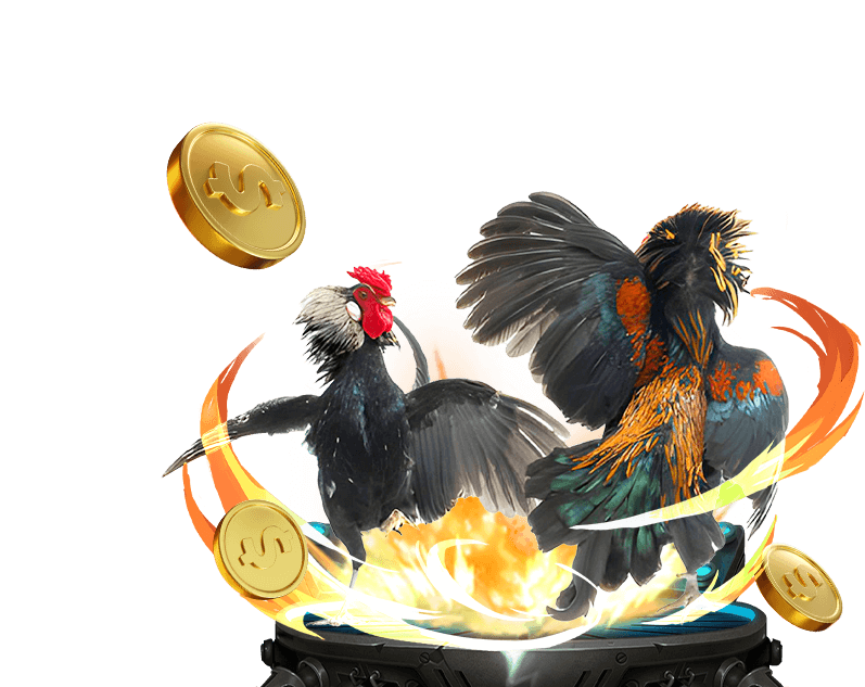 Các loại cookie khác nhau được MT68 VIP sử dụng để thu thập dữ liệu và phân tích web.